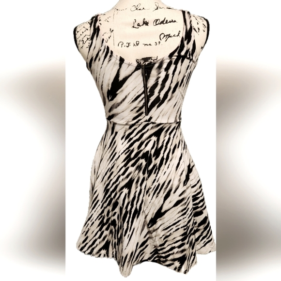 Express Sleeveless Skater Dress - Picture 2 of 11